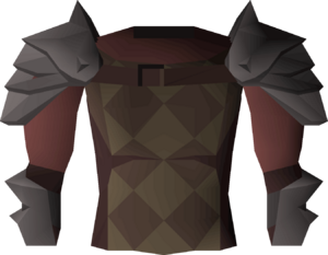 Inquisitor's hauberk (beta) detail.png
