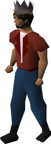 File:Steel partyhat equipped male.png