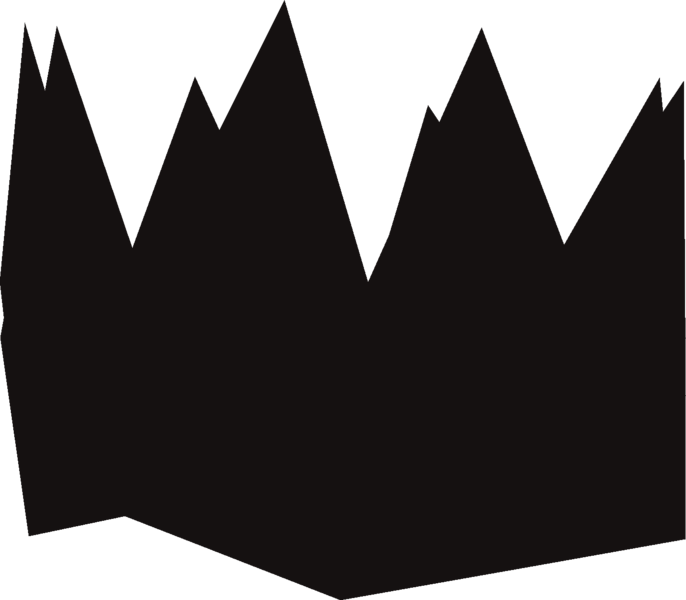 File:Black partyhat detail.png
