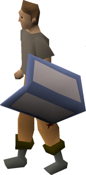 File:Training shield equipped.png