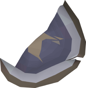 Broken shield (right) detail.png