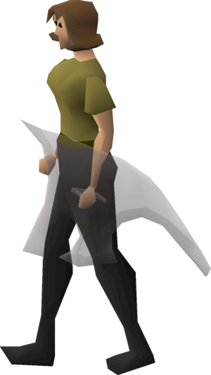 Spirit shield equipped female.png