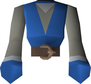 Robe top of the eye (blue) detail.png