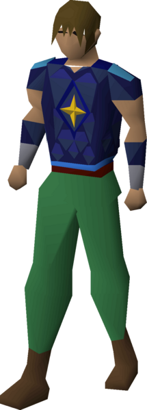 File:Saradomin d'hide body equipped male.png