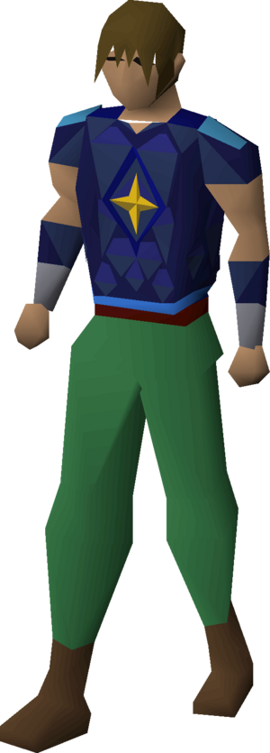Saradomin d'hide body equipped male.png