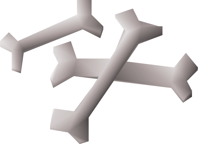 File:Bat bones detail.png