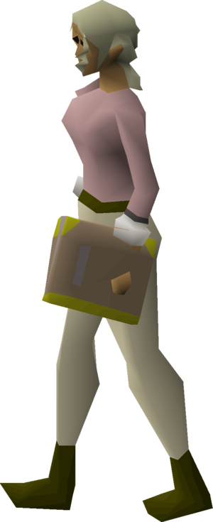 Book of war equipped female.png