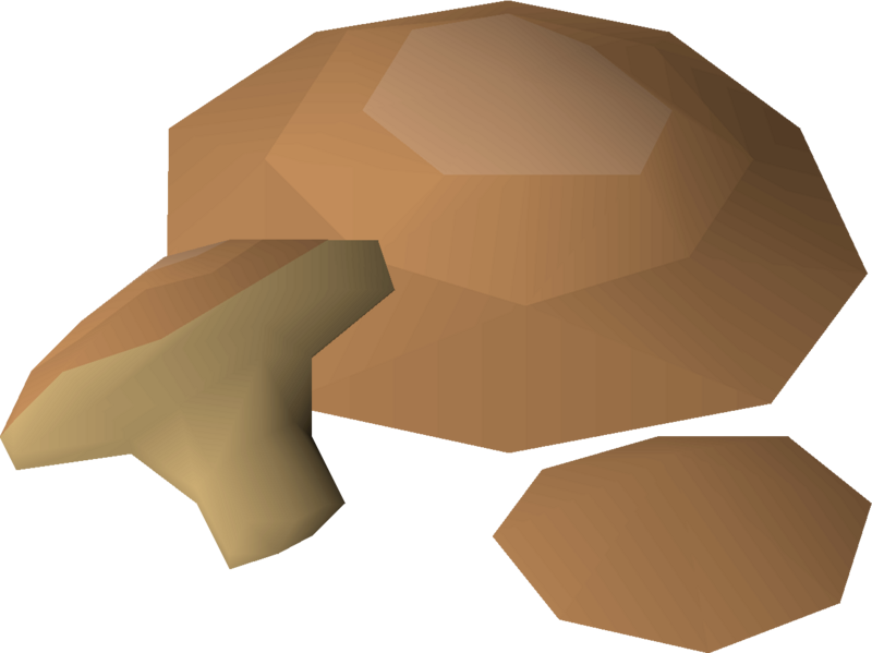 File:Musca powder detail.png