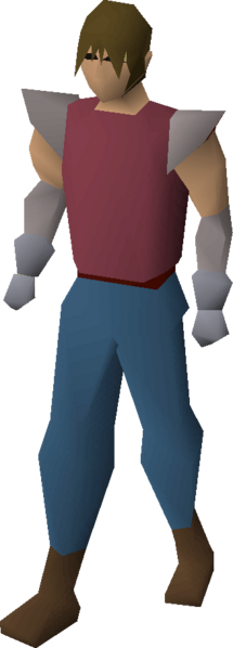 File:Steel gauntlets equipped.png