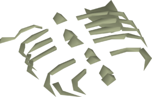 Small fossilised ribs detail.png