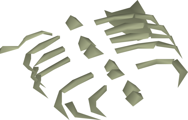 File:Small fossilised ribs detail.png