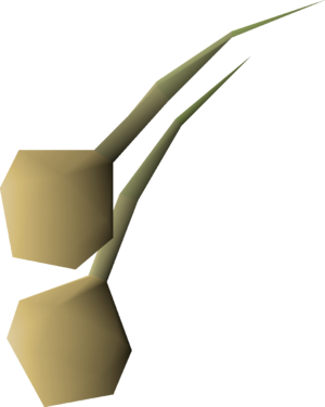 Onion seed 2 detail.png