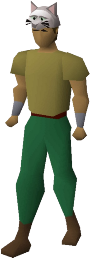 Cat mask equipped male.png