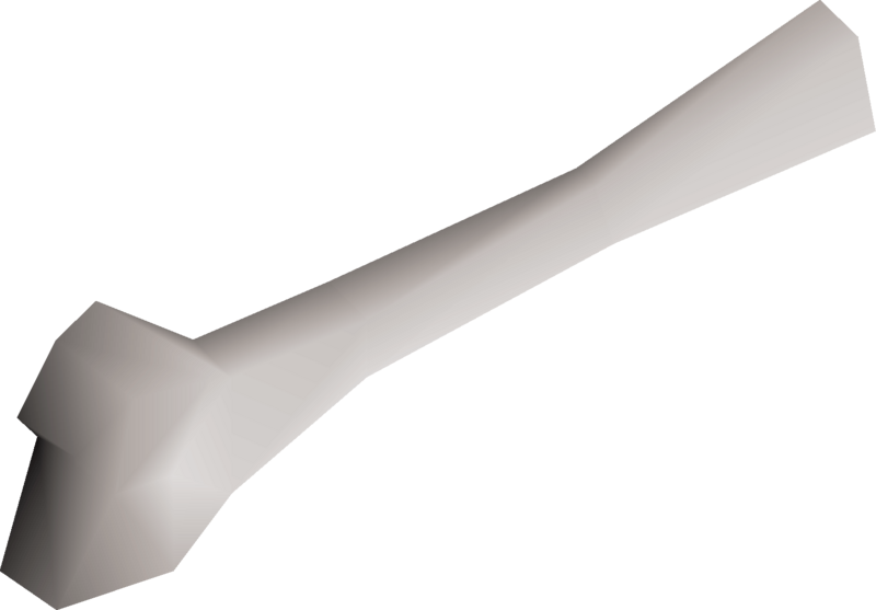 File:Fibula piece detail.png