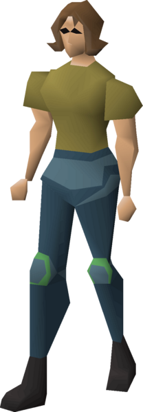 File:Guthix platelegs equipped female.png