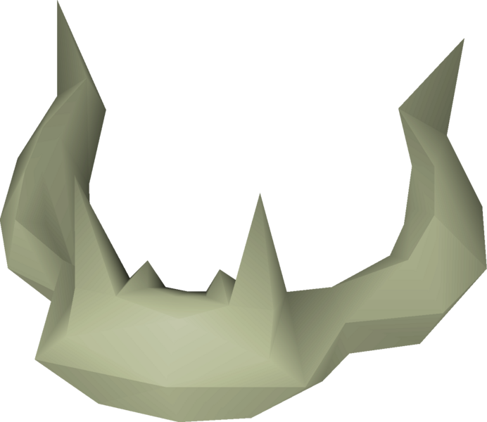 File:Rare fossilised skull detail.png