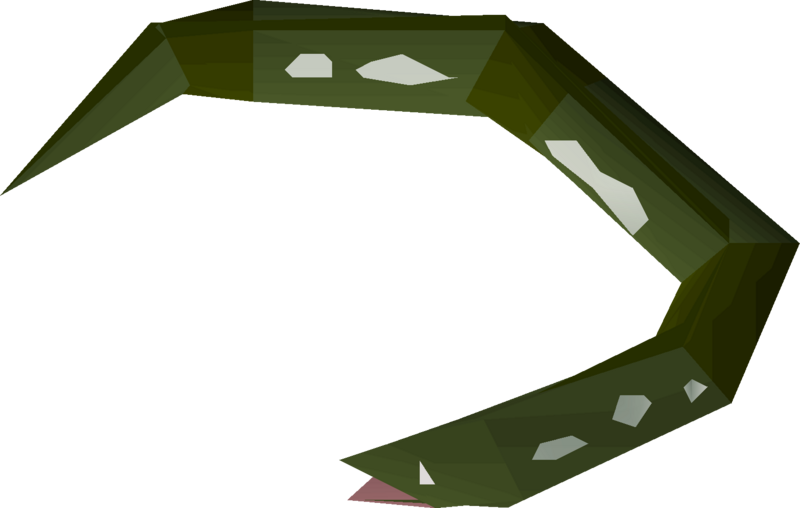 File:Raw slimy eel detail.png