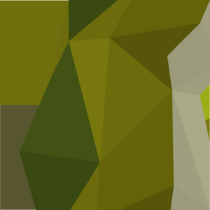 Sliding piece (Zulrah 11) detail.png