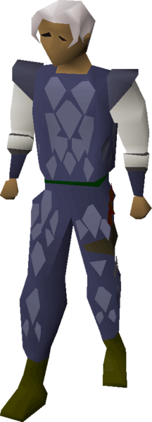 File:Blue d'hide armour equipped.png
