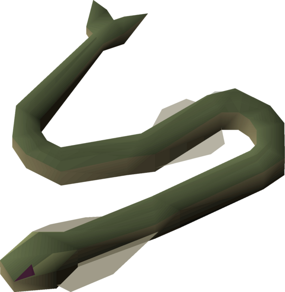 File:Raw cave eel detail.png