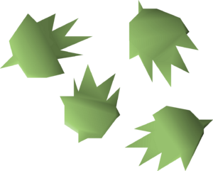 Cactus seed 4 detail.png