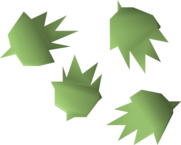 File:Cactus seed 4 detail.png