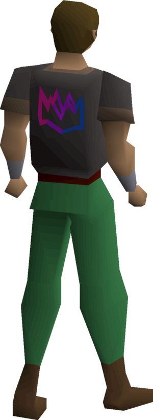 Colourful crown shirt (bisexual) equipped male.png