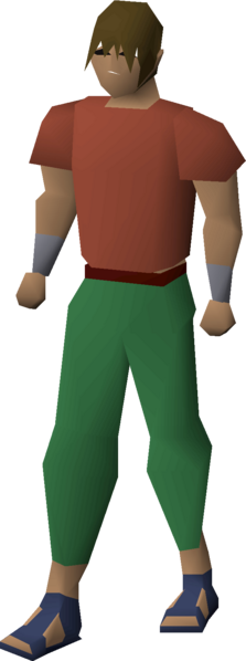File:Emissary sandals equipped male.png