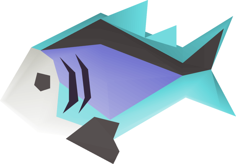 File:Raw rainbow fish detail.png