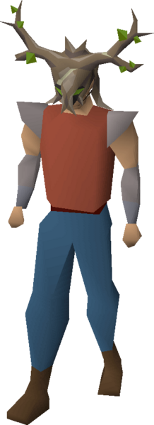 File:Hornwood helm equipped.png