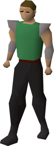 File:Dni23 arms shoulderpads equipped male.png