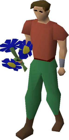 File:Blue flowers equipped.png