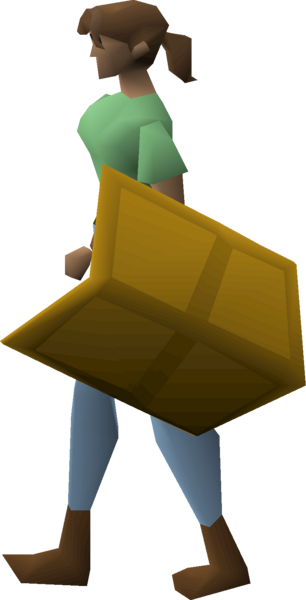 File:Gilded kiteshield equipped female.png