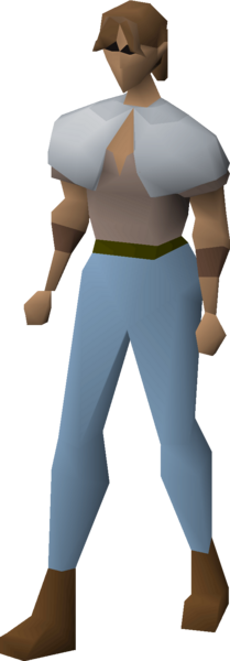 File:Adventurer's top (t1) equipped female.png