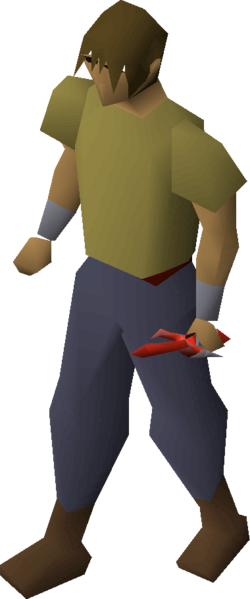 File:Dragon defender equipped.png