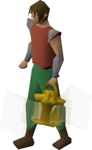 Lit bug lantern equipped.png