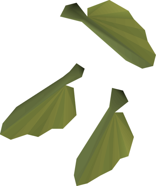 File:Maple seed 3 detail.png