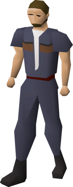 File:Clan wars cape (7) equipped.png