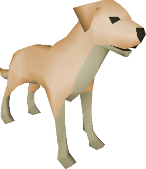 Labrador detail.png