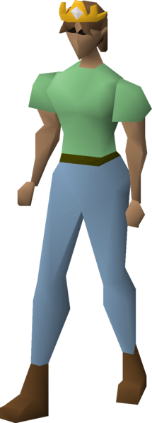 File:Elemental tiara equipped female.png