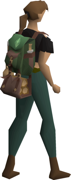 File:Forestry basket equipped female.png
