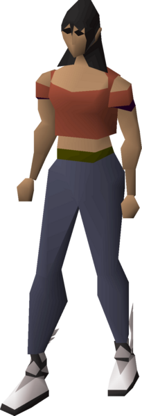 File:Graceful boots (Kourend) equipped female.png
