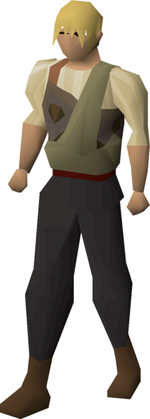 File:Guild hunter top equipped male.png