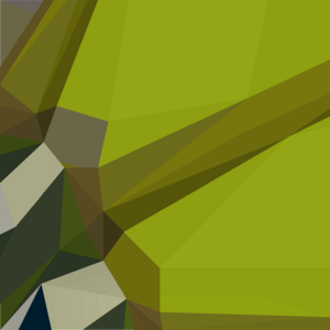 Sliding piece (Zulrah 9) detail.png
