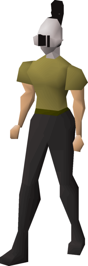 Steel heraldic helm (Horse) equipped female.png