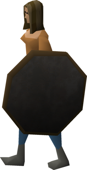 File:Mirror shield equipped female.png
