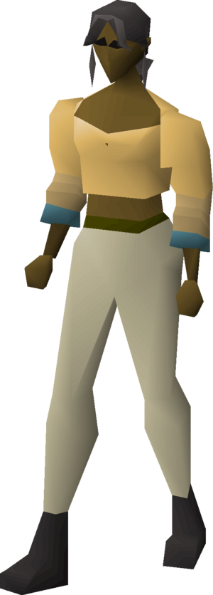 Robe of elidinis (top) equipped female.png
