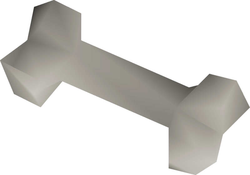 File:Desert lizard bone (polished) detail.png