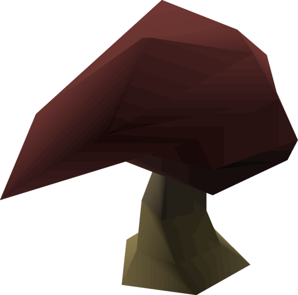 File:Stinkhorn mushroom detail.png