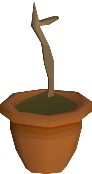 File:Apple sapling detail.png